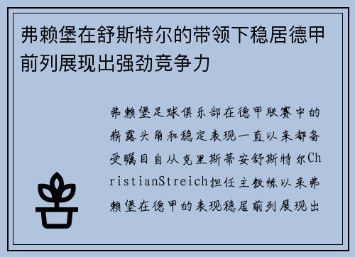 弗赖堡在舒斯特尔的带领下稳居德甲前列展现出强劲竞争力